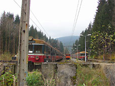 min 377 8.jpg min 377 8.jpg